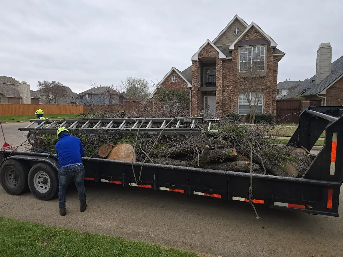 Expert Tree Removal with proper safety equipment in Sparta